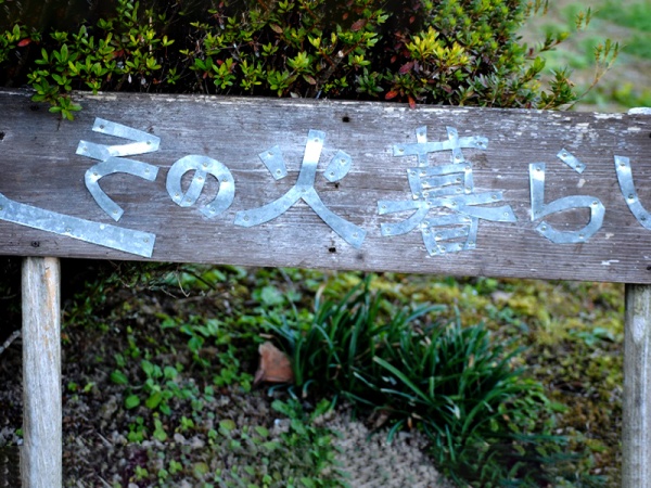 伊佐市 その火暮らし